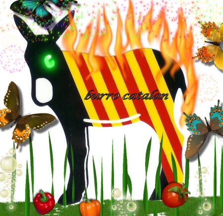 burro catalan