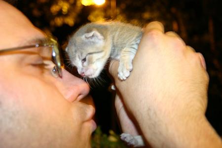 mon chat et moi
