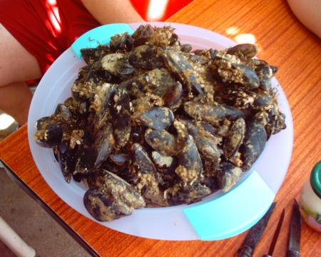 moule attittude