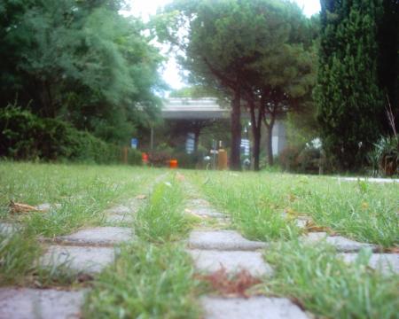 pavé/nature urbaine