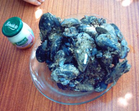moule attittude